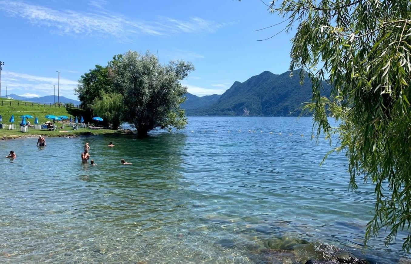 La Petite Dame - Lake Maggiore - 100 M From The Lake Verbania Dış mekan fotoğraf